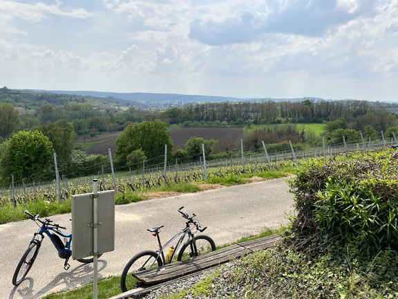 22-05-02 14-01-36 0732